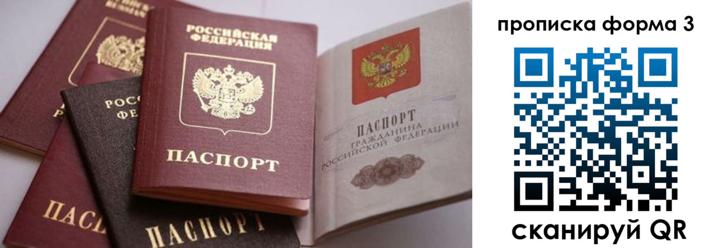 прописка для школы в Заинске